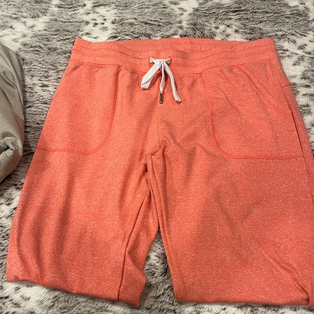 Zyia Cozy Joggers worn one time